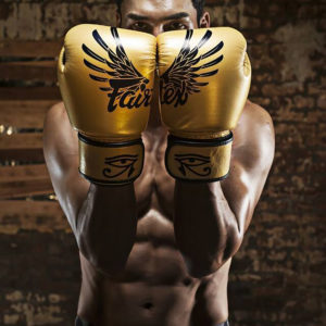 Fairtex Genuine Leather Boxing Gloves Limited Edition - Falcon