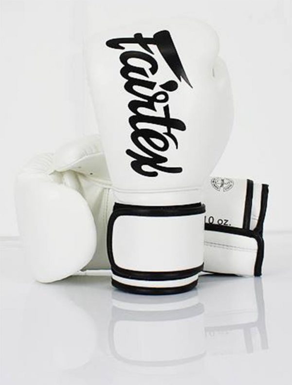 FAIRTEX MICRO FIBER LIGHT WEIGHT BOXING GLOVES FOR KIDS