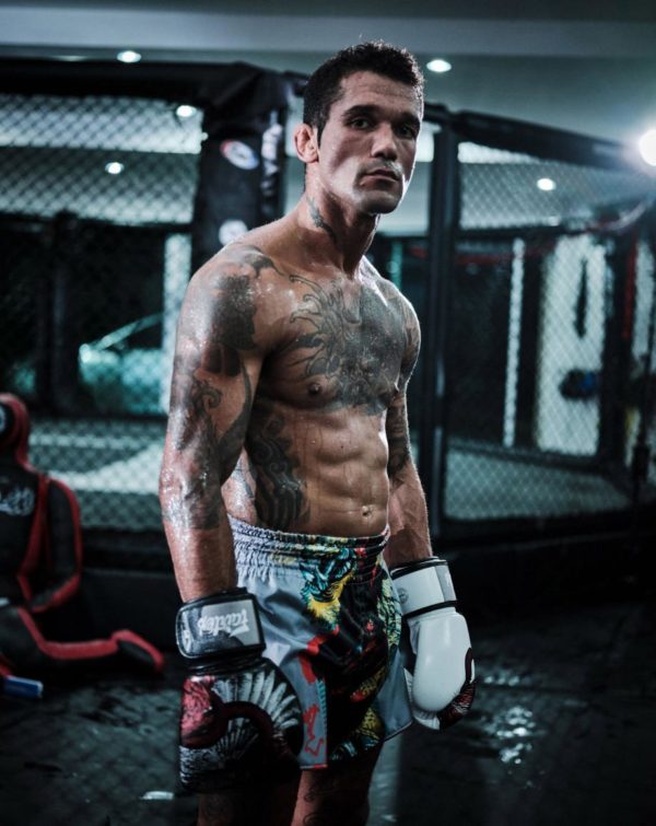 NEW FAIRTEX LIMITED BOXING GLOVES The Beauty of Survival+Nylon Bag - Image 6