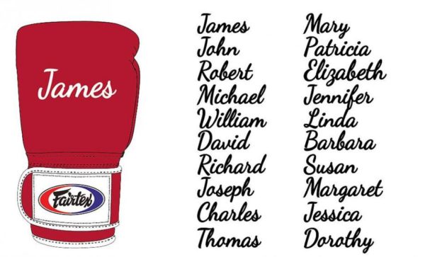 FAIRTEX Universal Boxing Gloves with Your Signature Name - Image 4