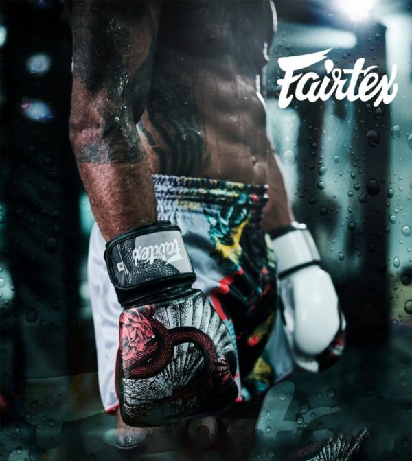 NEW FAIRTEX LIMITED BOXING GLOVES The Beauty of Survival+Nylon Bag - Image 5