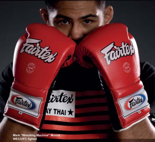 FAIRTEX PRO TRAINING BOXING GLOVES MEXICAN STYLE BGL7 LACEUP - Image 3
