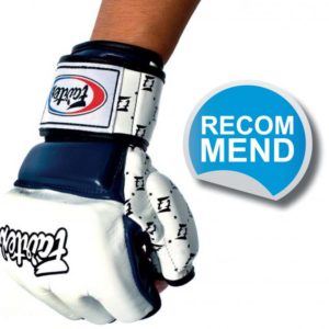 FAIRTEX MMA Gloves Super Sparring FGV17