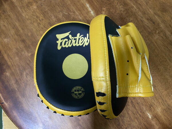 NEW Fairtex Speed & Accuracy Focus Mitts FMV15 - Image 8