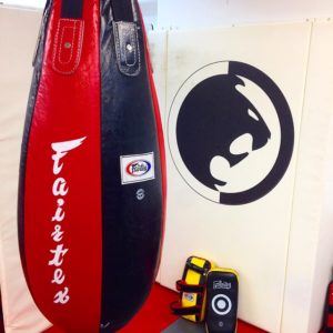 Genuine Fairtex Tear Drop Leather Heavy Bag HB4 UNFILLED