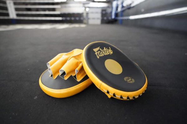 NEW Fairtex Speed & Accuracy Focus Mitts FMV15