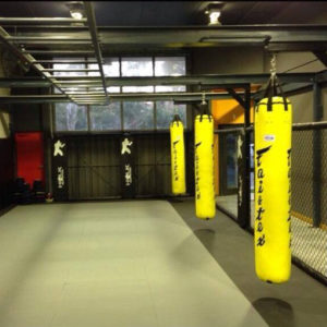 Fairtex Banana Heavy Bag Unfilled 6 feet tall HB6