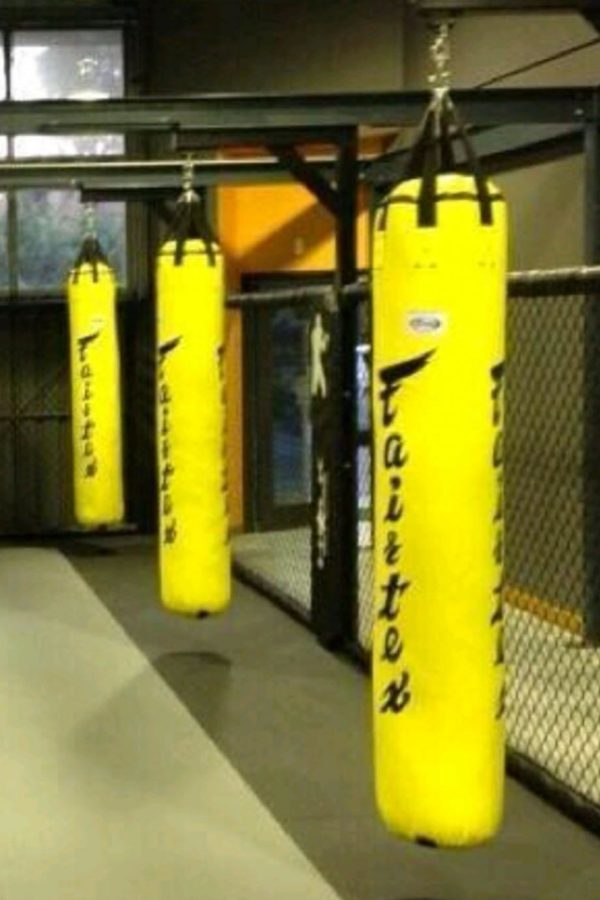 Fairtex Banana Heavy Bag Unfilled 6 feet tall HB6 - Image 3