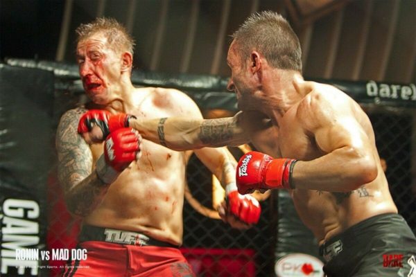 Fairtex MMA Grappling Gloves Open Thumb Loop FGV12 Best Grappling Gloves Award Winning - Image 7