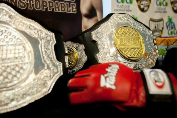 Fairtex MMA Grappling Gloves Open Thumb Loop FGV12 Best Grappling Gloves Award Winning - Image 8