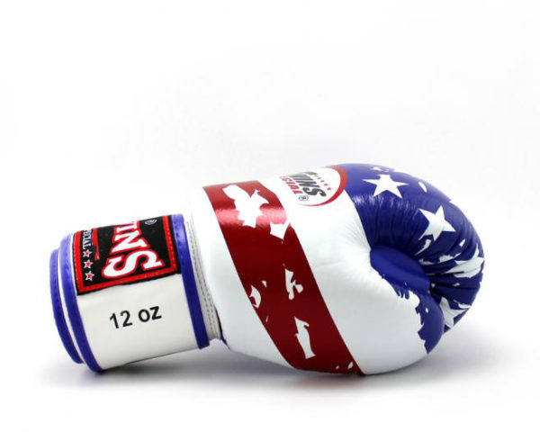 Twins Special Fancy Boxing Gloves Velcro Genuine Leather USA Flag - Image 4