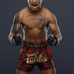 Fairtex Muay Thai Shorts - Red Black