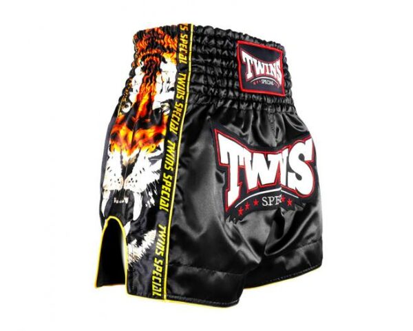 Twins Special Muay Thai Shorts - Payak Collection - Image 3