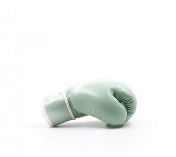 Twins Special Boxing Gloves Genuine Leather BGVL4 Pastel Collections - Image 8
