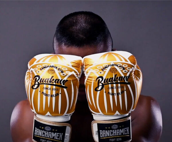 Buakaw Banchamek Gym Boxing Gloves BGL-GL3 Genuine Leather