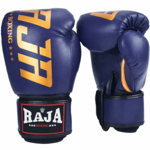 RAJA BOXING Gloves Model 2 Microfiber Material