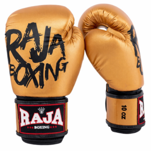 RAJA BOXING Gloves Model 4 Microfiber Material