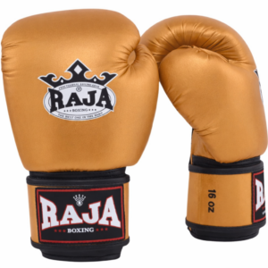 RAJA BOXING Gloves Model 1 Microfiber Material