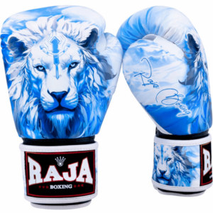 RAJA BOXING Fancy Gloves Muay Thai Leo